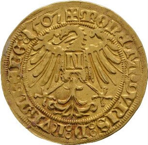 Münze, Goldgulden, 1507