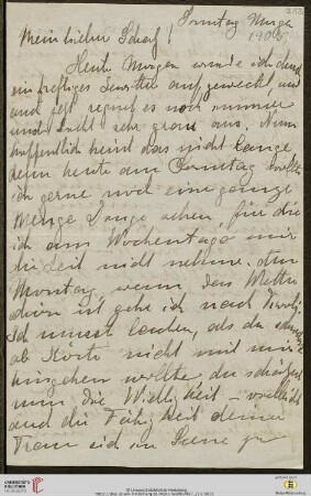 Heid. Hs. 3487,213: Brief von Marie Luise Gothein an Eberhard Gothein