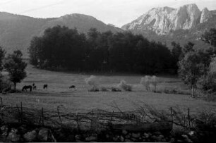Stara Vrata Pass: Alm an der Passstraße mit Velebit Gebirge