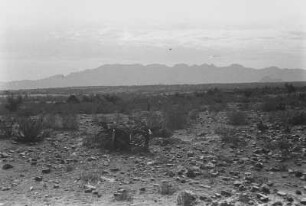 Hochfläche des Cohaito : Blick in eine steinige Savannenlandschaft mit Gebirgskette im Hintergrund