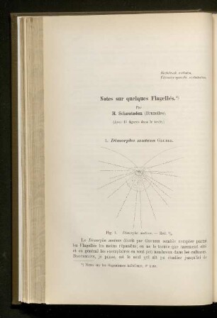 Notes sur quelques Flagelles