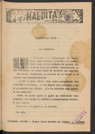 Capítulo XVII - La venganza
