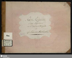 Salve regina - Mus.4657-E-17 : S (2), vl, orch; E|b
