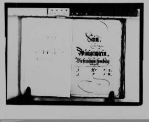 Graf Johann von Sayn ./. Graf Wilhelm von Wittgenstein: Besitzrechte an der Herrschaft Homburg