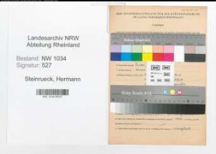 Entnazifizierung Hermann Steinrueck , geb. 05.04.1869 (Oberfeuerwerker)