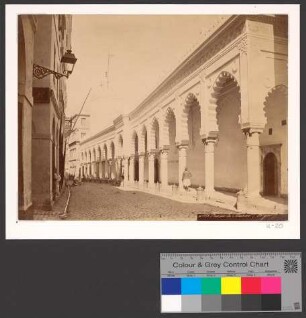 Rue de la Marine (Alger)