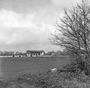 Heinrichshof, Gut: Blick über die Ländereien auf die stillgelegte Schweinemastanlage mit Futtermittelgebäude: vorn rechts Böschung mit Büschen