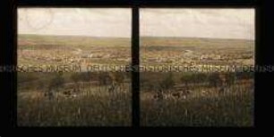 Arbeiter in den Weinbergen mit Blick auf Epernay