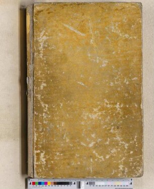 Nürnberger Schembartbuch