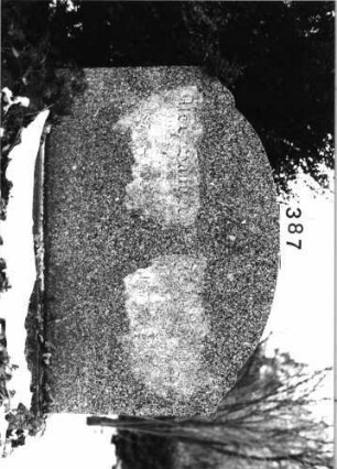 Grabstein 387 (Index: 100092504) Material: Granit Zustand: gut Maße HxBxT: 102x122x14 cm Beschreibung: Doppelgrabstein; breite aufgesockelte Stele mit eingezogenem Segmentbogenabschluß Symbolik: Davidstern: Grabstein 387