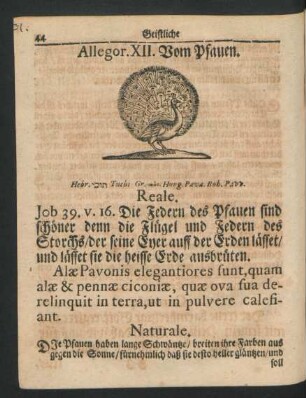 Allegor. XII. Vom Pfauen.