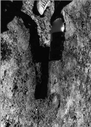 Grabstein 155 (Index: 99798026) Material: Sandstein, rot Zustand: sehr stark verwittert Maße HxBxT: 0x0x0 cm Beschreibung: Sockel, Abschluß, Stele: Grabstein 155