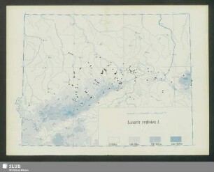 Verbreitung von Lunaria rediviva L. in Sachsen und den angrenzenden Gebieten