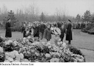 Kranzniederlegung zum 34. Jahrestag der Großen Sozialistischen Oktoberrevolution auf dem Trinitatisfriedhof
