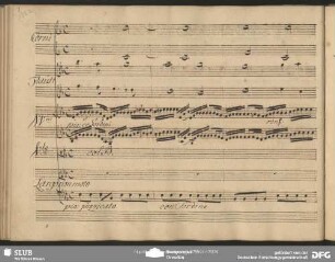 Cavatina: "Vieni il mio seno"