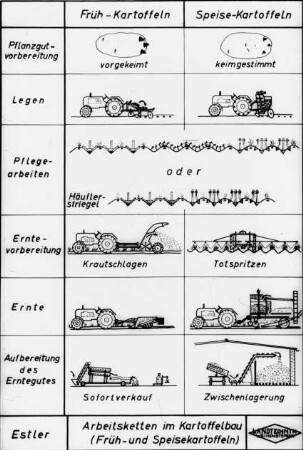 Arbeitsketten im Kartoffelbau (Früh- und Speisekartoffeln)