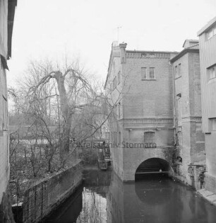 Trave: Stadtarm mit ehemaliger Kornwassermühle: Blick von der Mühlenbrücke: hinten links Garten mit Bäumen