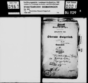 Stetten bei Haigerloch: Klage gegen die Ortsgeistlichen; Besoldungsverhältnisse derselben