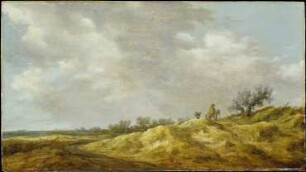 Weg in den Dünen