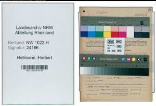 Entnazifizierung Herbert Hellmann , geb. 23.04.1905 (Ingenieur)