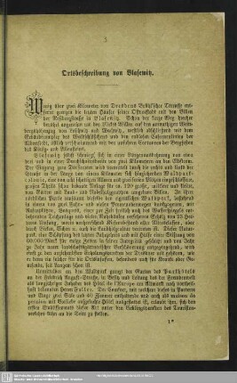 Ortsbeschreibung von Blasewitz