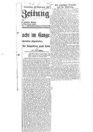 Diverse Zeitungsartikel Emir Sakib Arslans