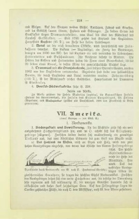 VII. Amerika