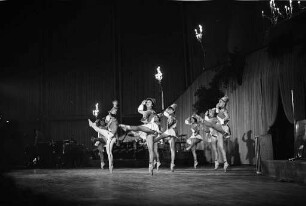 Auftritt des Ballett-Ensembles des Badischen Staatstheaters beim Rosenball in der Schwarzwaldhalle.