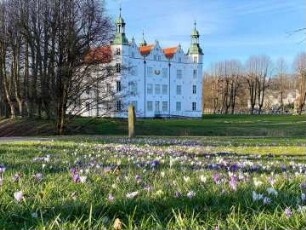 Ahrensburg: Herrenhaus (Museum Schloss Ahrensburg): Gartenseite, davor Wiese mit Krokusblüten im Frühjahr