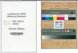 Entnazifizierung Wilhelm Schmitt, geb. 16.04.1899 (Kaufmann)