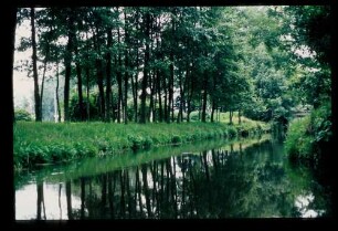 Spreewald 26.7.84.