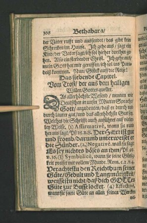 Das siebende Capitel.
