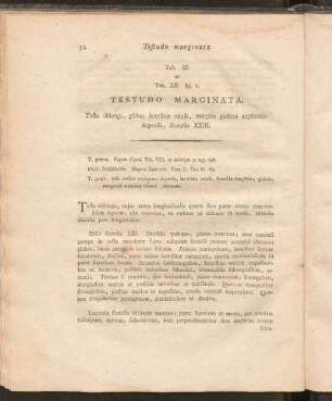 Tab. XI et Tab. XII. fig. 1: Testudo Marginata