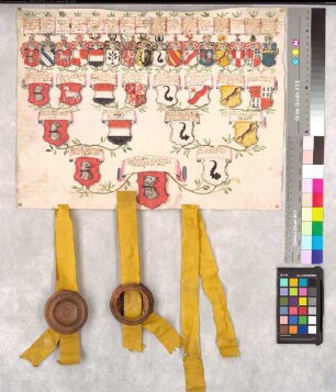 Proband: Rüdt von Collenberg, verh. von der Recke, Maria Eva; Vater: Rüdt von Collenberg, Johann Ernst; Mutter: Adelsheim (Adolzheim), Anna Klara von: -