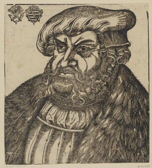 Bildnis des Johann