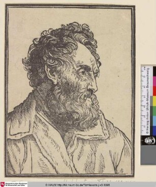 [Brustbild einess bärtigen Mannes, nach rechts; Bust of a bearded man, facing right]