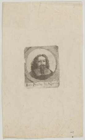 Bildnis des Hanns Forster