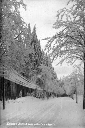Winterlandschaft an der Reitzenhainer Straße