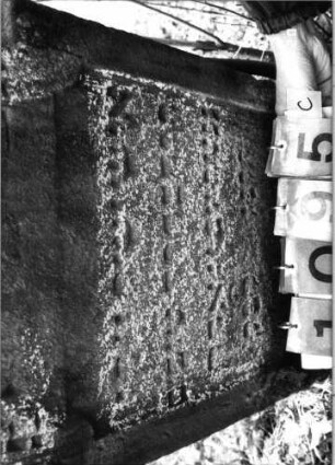 Grabstein 1095 (Index: 99753254) Material: Sandstein Zustand: stark verwitt/großer Textverlust Maße HxBxT: 84x45x9 cm Beschreibung: Stele, eingezogener Rundbogenabschluß, Schriftfeld eingetieft: Grabstein 1095C