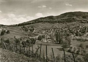 Ortsansicht von Feldberg (Müllheim)