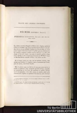 Traité des arbres fruitiers. Pêcher d'ispahan. Thouin (I). Persica ispahanensis, fructu parvo, viridi, dulci, hinc suleato, serotino.