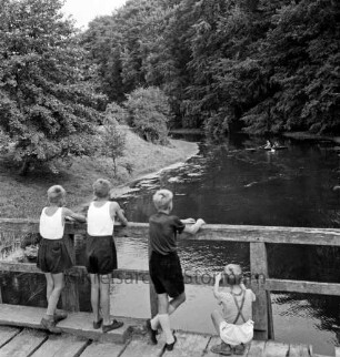 Trave: im Vordergrund Kinder am Geländer der Friedensbrücke: hinten rechts Personen im Ruderboot: dahinter Wald