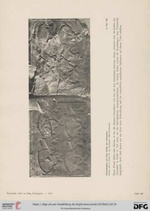 (Nr. 201 - 210)