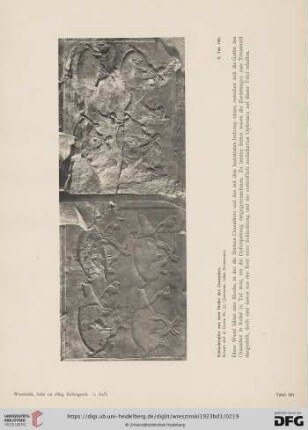 (Nr. 201 - 210)