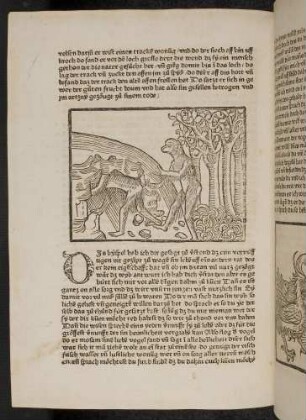 Der junge Affe führt den alten zur Höhle des Drachen; (Kapitel XVI: Von den Vögeln).