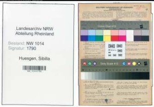 Entnazifizierung Sibilla Huesgen , geb. 03.12.1900 (Hausfrau)