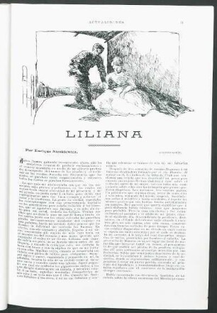 Liliana - Continuación.