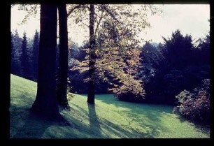 Ohlsdorfer Friedhof 12.10.63.