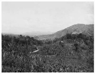 Landschaft auf Jamaika : Weltreisen. Landschaft auf Jamaika