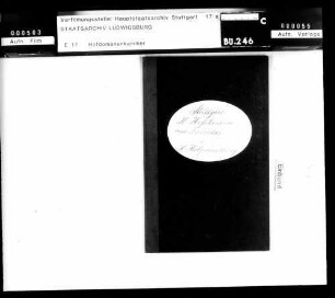 Revision des Inventars von 1872 über die Requisiten, Möbel, Waffen und Rüstungen